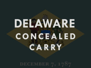 Delaware CCDW square